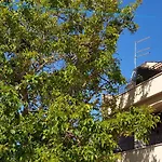 Boutique Rooms Mare Fabulas